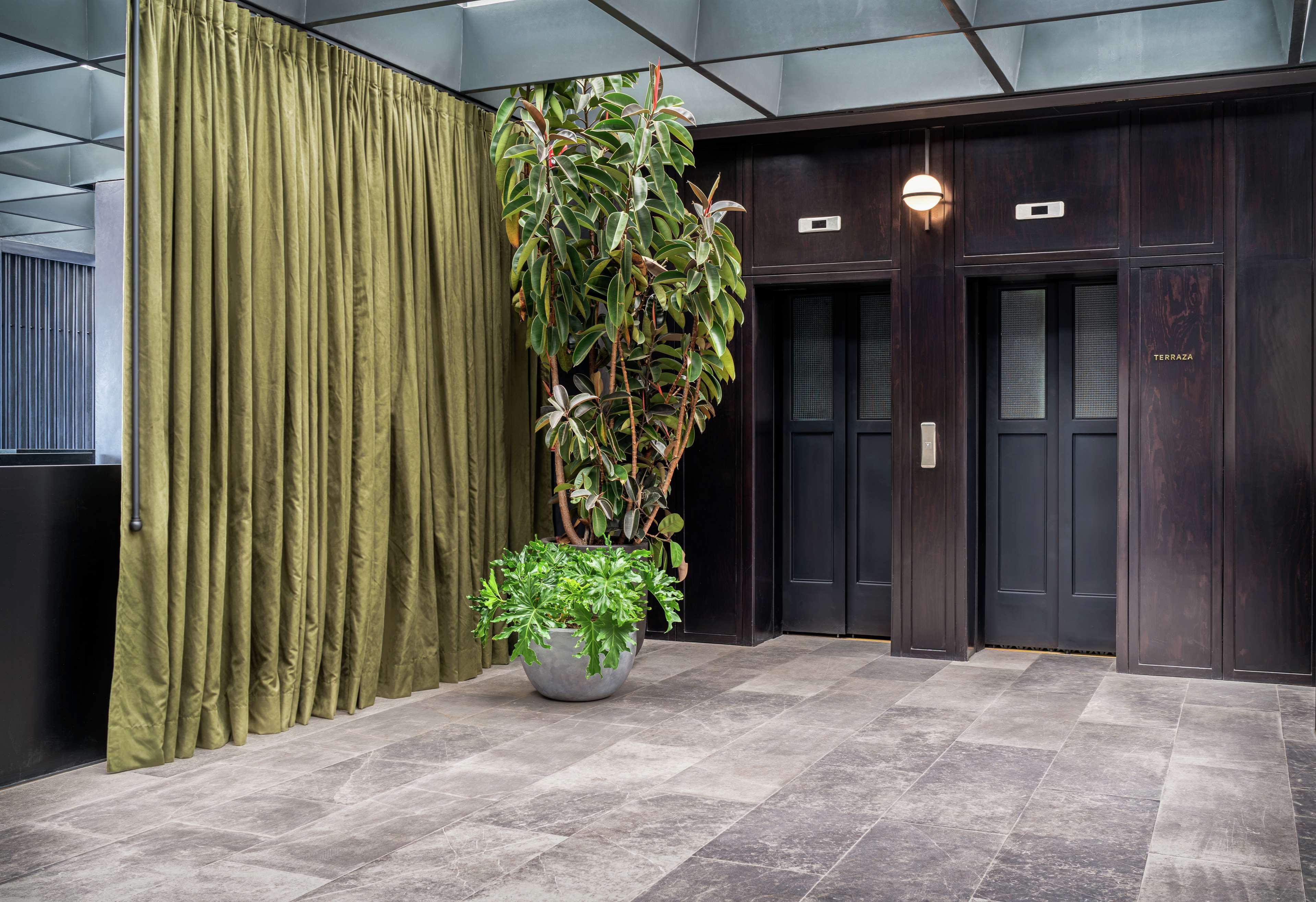 Umbral, Curio Collection By Hilton Hotel